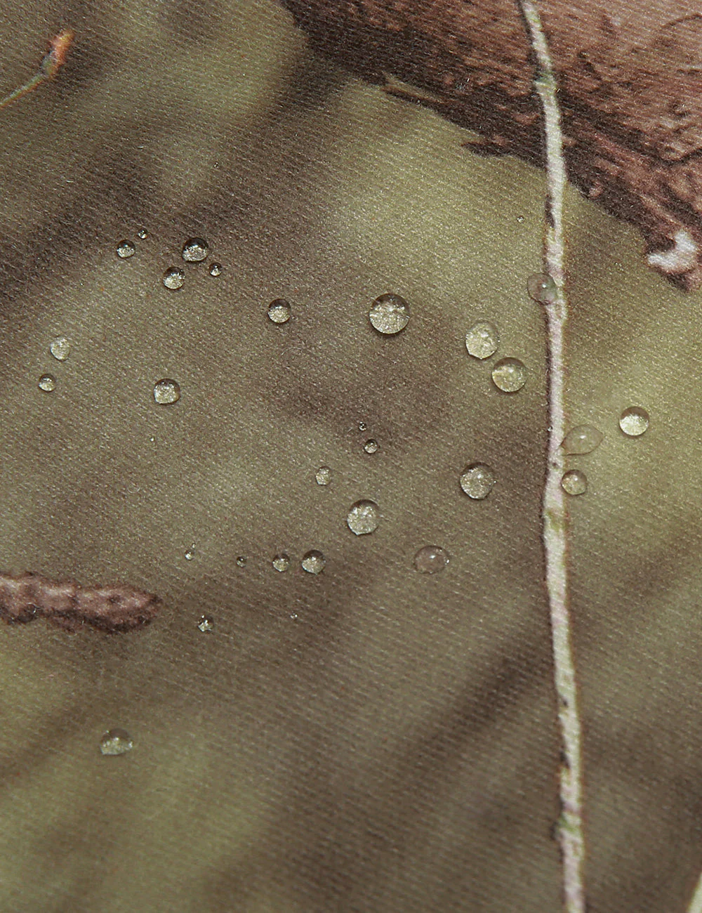 Thumbnail 14